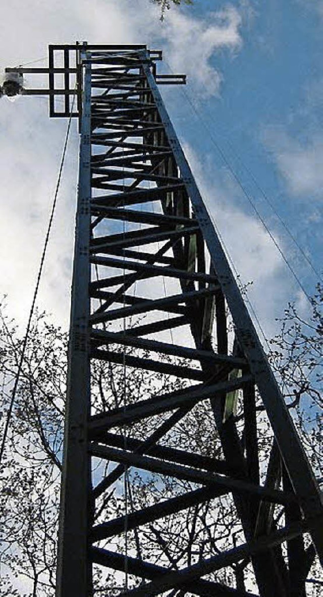 In etwa so wird der 30 Meter hohe Funkmast in Engelschwand aussehen.  | Foto: ZVG