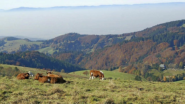 Die Allmendweiden sind Alleinstellungsmerkmal fr ein Unesco-Biosphrengebiet.   | Foto: Ulrike Jger