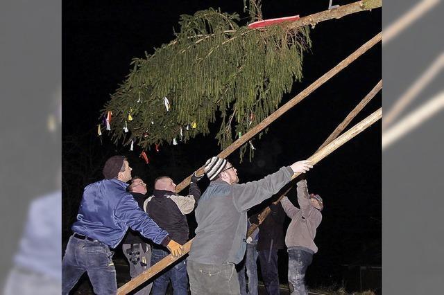 Der Narrenbaum ist gestellt