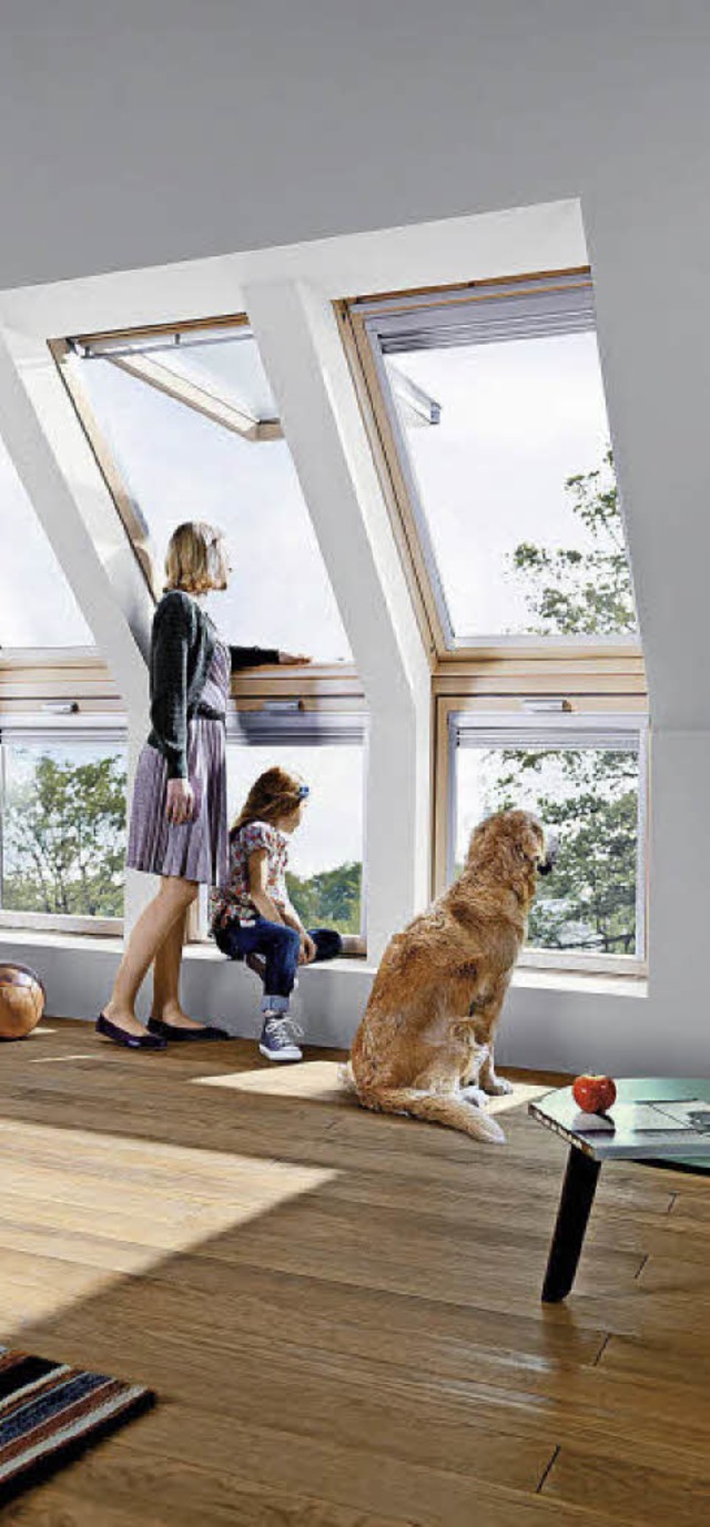 Groe Fenster sind ein Gewinn fr die Dachgeschosswohnung.   | Foto: Tjellesen/dach.de, ouk