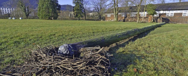 Da legst di nieder: Den bisherigen Sto...t Nest (vorne) hat es glatt umgehauen.  | Foto: Michael Bamberger (3)/Privat (1)