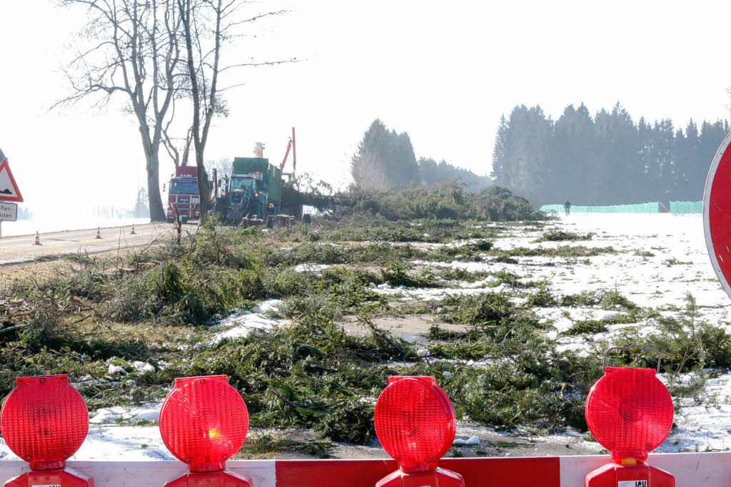 Mit dem Fällen der Hecke zwischen Rothaus und Grafenhausen entlang der L157 wurde begonnen Mit dem Fällen der Hecke zwischen Rothaus und Grafenhausen entlang der L157 wurde begonnen