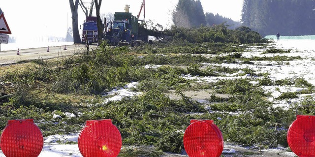 Mit dem Fllen der Hecke zwischen Roth...ausen entlang der L157 wurde begaonnen  | Foto: Wilfried Dieckmann