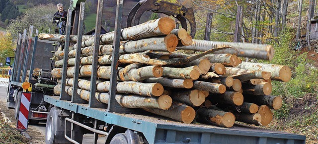 Dank eines guten Holzmarktes hat  Frh...t Industrieholz gut verdient am Wald.   | Foto: Jacob