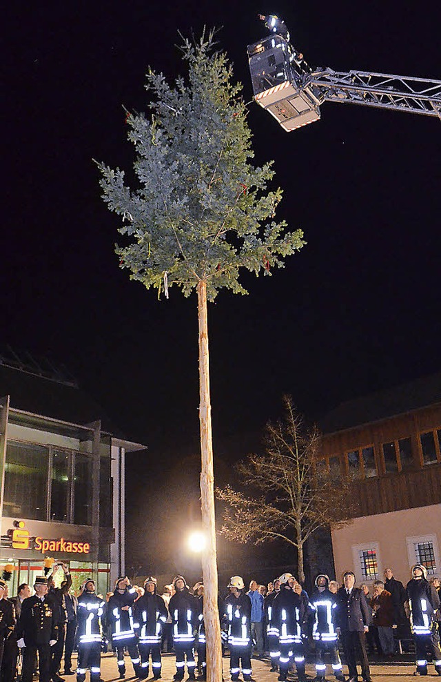Ganz oben der Brgermeister: Er setzt seinem  Baum selbst die Spitze auf.  | Foto: sigrid umiger