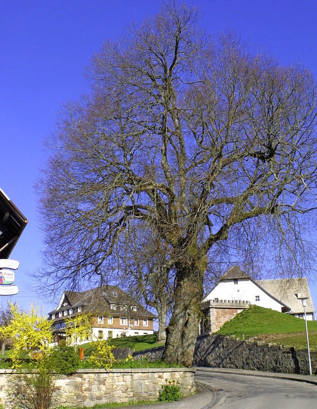 Vor genau zehn Jahren fiel die 130-jh...s auf die Grundmauern nieder brannte.   | Foto: Wilfried Dieckmann