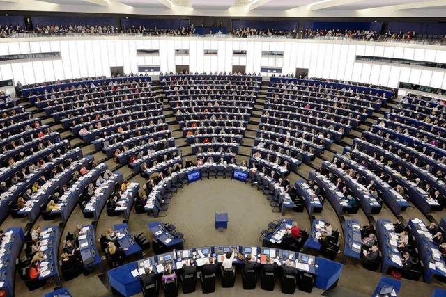 Europawahl: Bundesverfassungsgericht kippt Drei-Prozent-Hürde