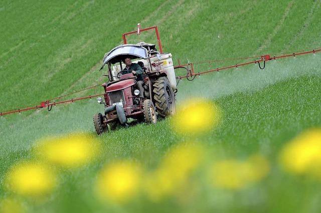 Landwirtschaftsminister Schmidt will die Agrarreform verwssern