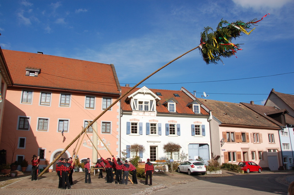 Zche ue! Der Sthlinger Narrenbaum steht wie eine Eins! Die "16 Zche" temmten ihn locker in den blauen Himmel.