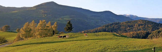Landschaftspflege und Erhalt der lndl...ck von Riedichen auf den Zeller Blauen  | Foto: Privat