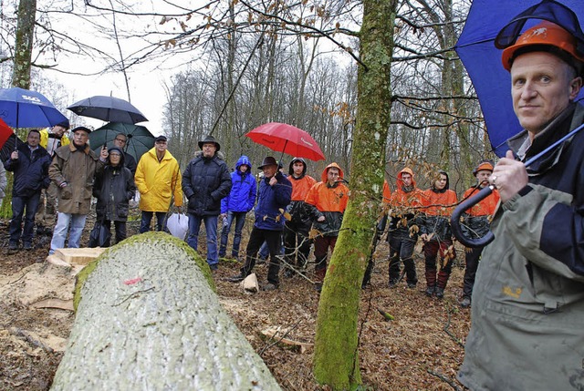 Holz-Submission im Stadtwald, rechts Peter Zink von den TBO.   | Foto: Siefke