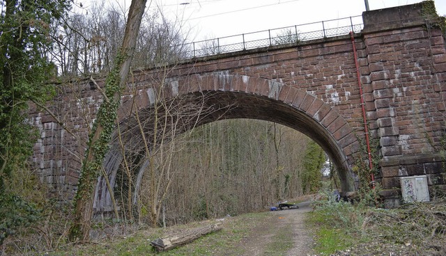 Unter diesem Brckenbogen knnte ein R... westlichen Seite der Wiese schlieen.  | Foto: Nikolaus Trenz