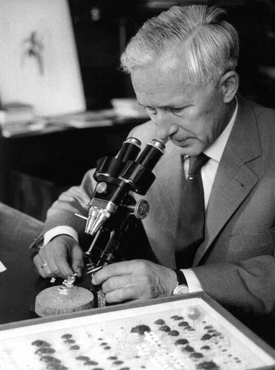 In Stahlgewittern In Historisch Kritischer Ausgabe Erschienen Kultur Badische Zeitung