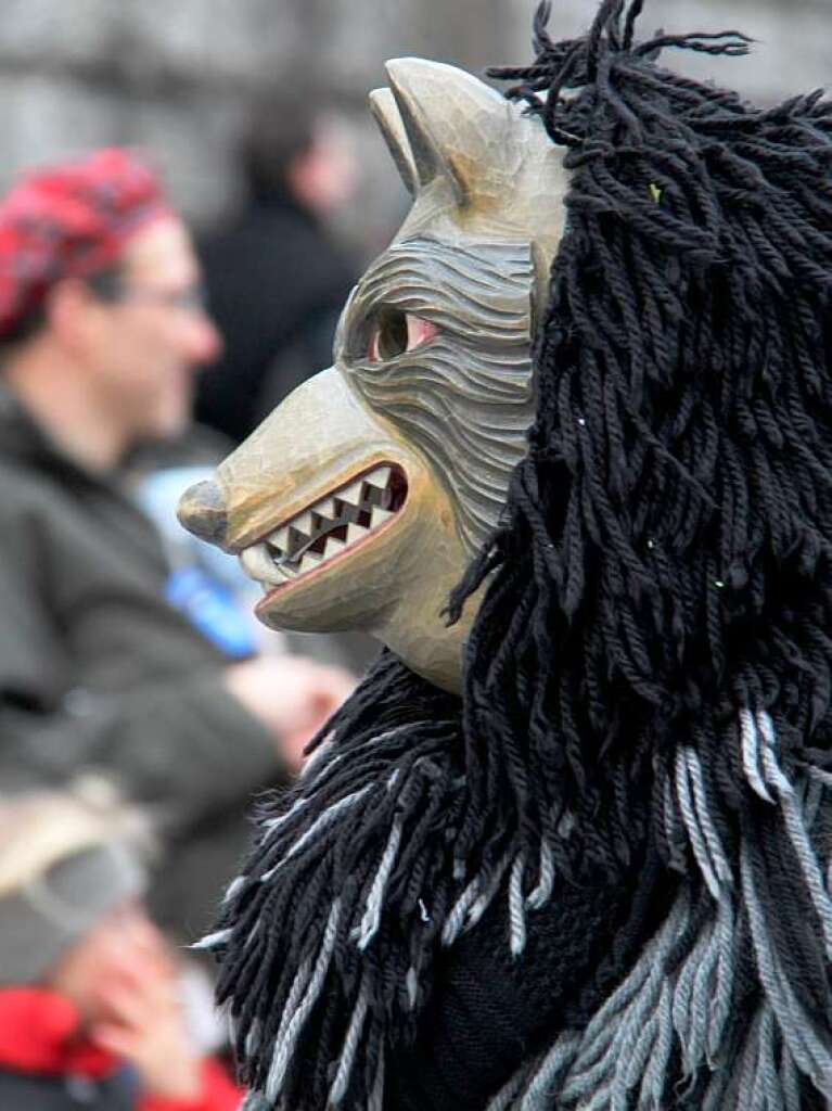 Buntes Treiben in der Kurstadt: der Bad Krozinger Fasnet-Umzug 2014