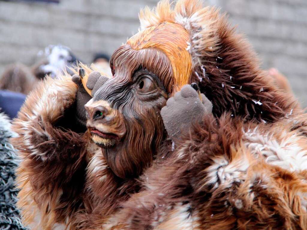 Buntes Treiben in der Kurstadt: der Bad Krozinger Fasnet-Umzug 2014 Buntes Treiben in der Kurstadt: der Bad Krozinger Fasnet-Umzug 2014