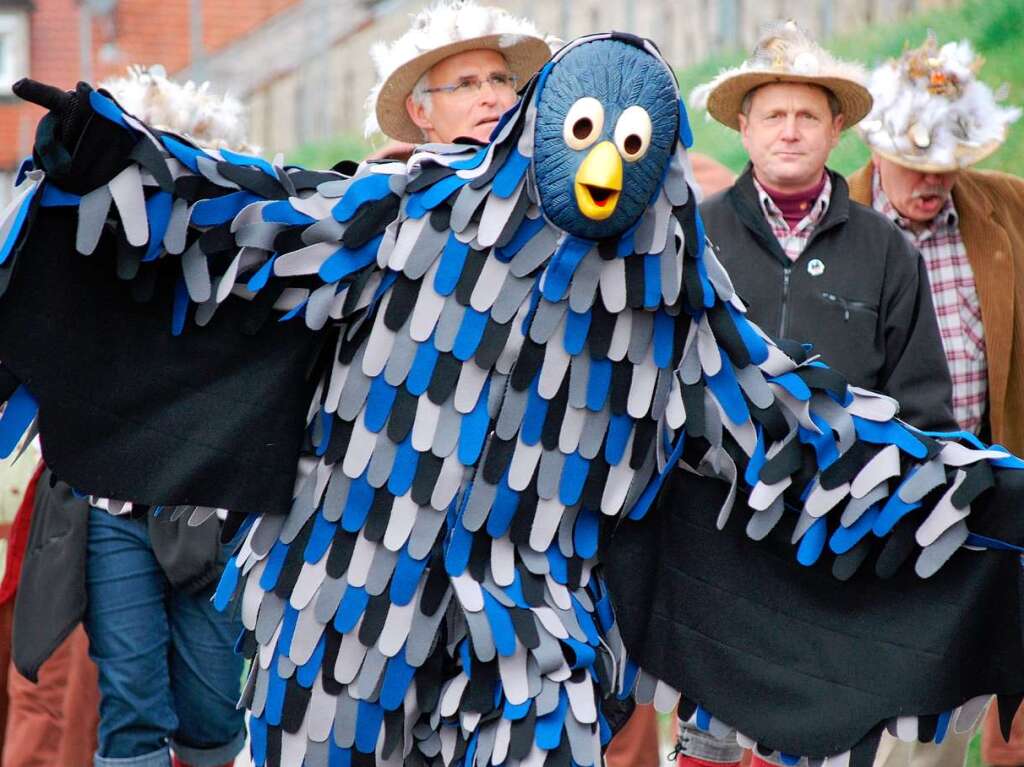 Impressionen vom Vogtsburger Narrentreffen in Bickensohl