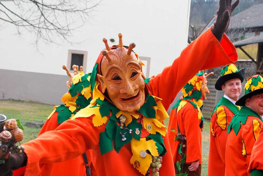 Impressionen vom Vogtsburger Narrentreffen in Bickensohl