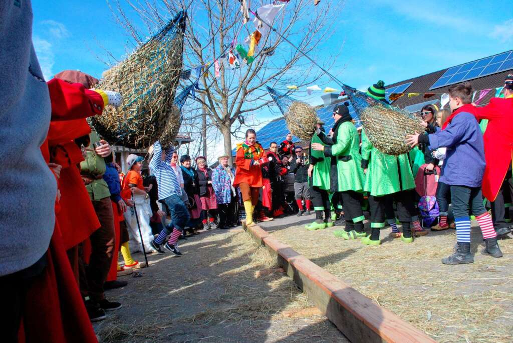 Impressionen vom Vogtsburger Narrentreffen in Bickensohl