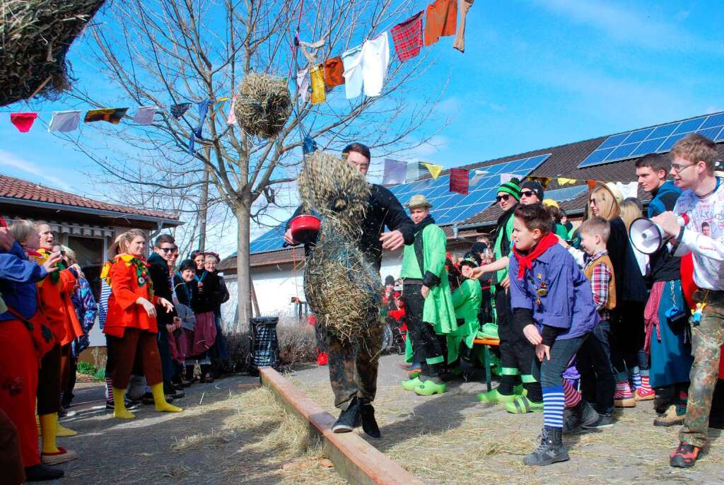 Impressionen vom Vogtsburger Narrentreffen in Bickensohl