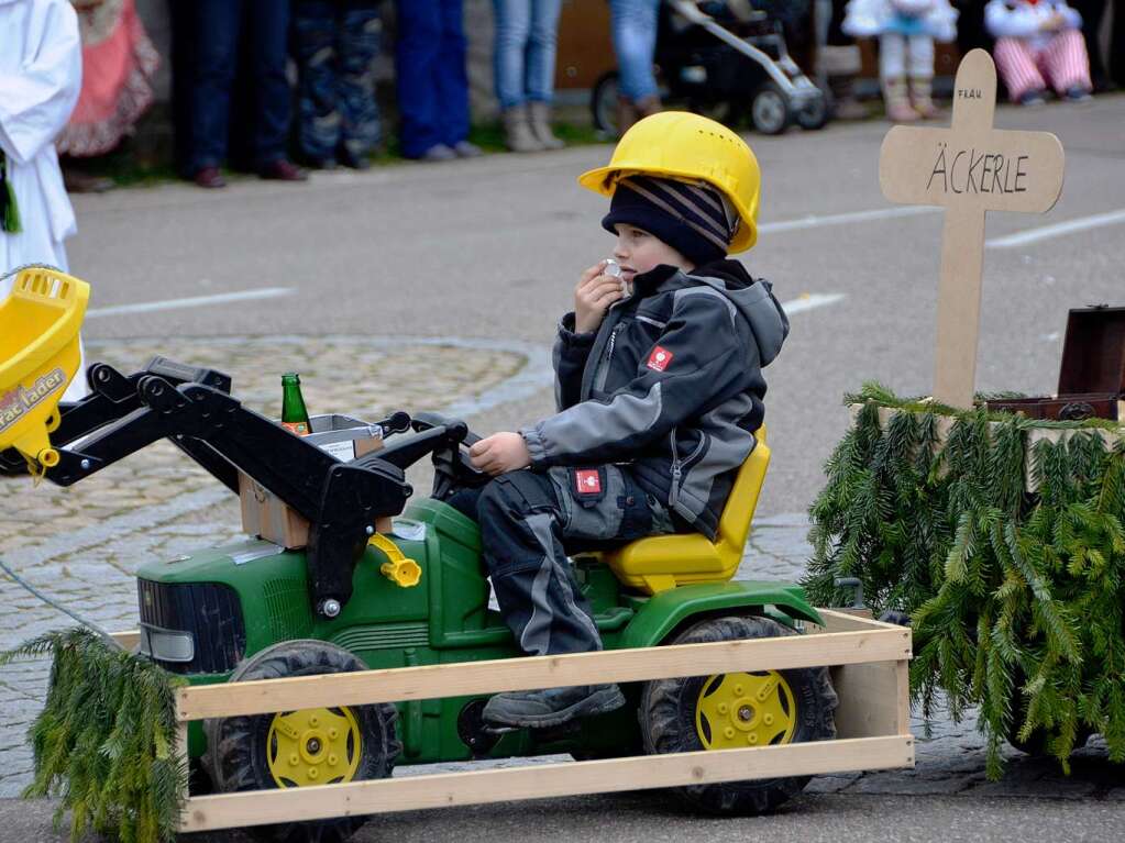 Impressionen vom Umzug in Pfaffenweiler