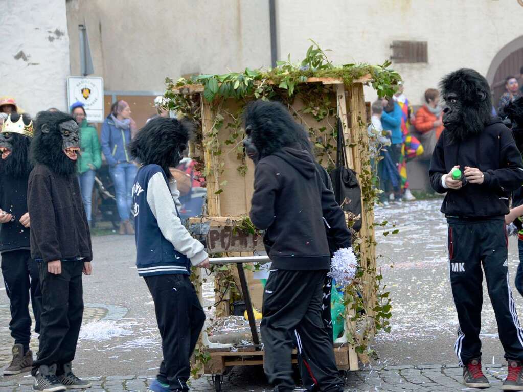 Impressionen vom Umzug in Pfaffenweiler