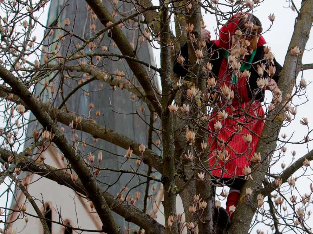 Impressionen vom Fasnachtsumzug in Ebringen