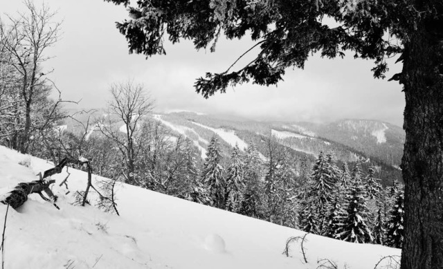 Winterimpressionen im Feldberggebiet Februar Fasnet 2014  | Foto: Billharz Wilhelm
