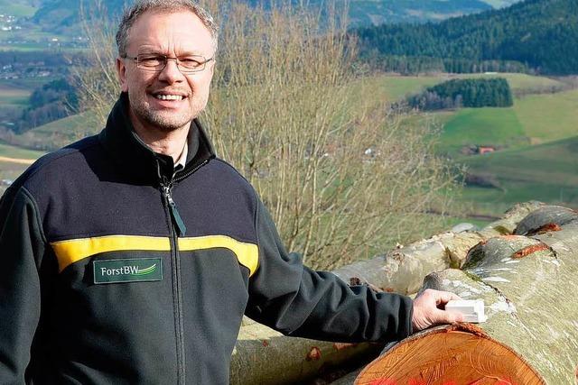 Forstexperten wollen Holzdiebe mit GPS-Sendern verfolgen
