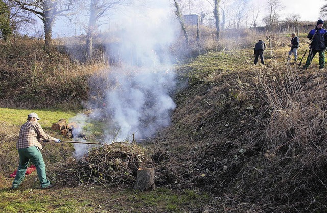 Zupacken war gefragt beim ehrenamtlich...beitseinsatz am Westhang des Nimbergs.  | Foto: Privat