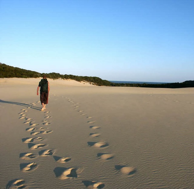 Fraser Island, Australien  | Foto: fotolia.com/thomas hansson