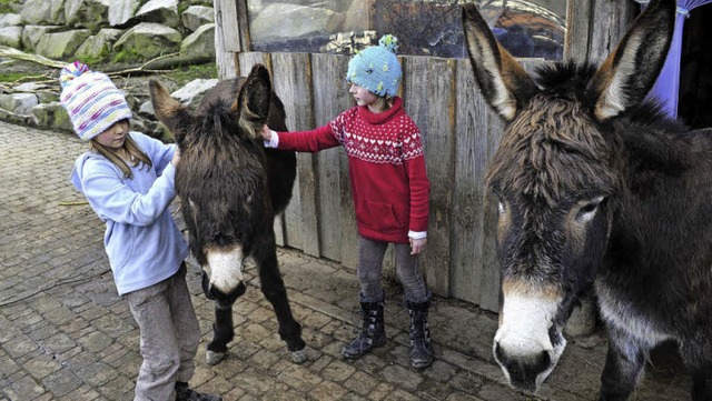 Kathy (8, links) und Clara (7) streich...ten Esel, die auf dem Kunzenhof leben.  | Foto: Thomas Kunz