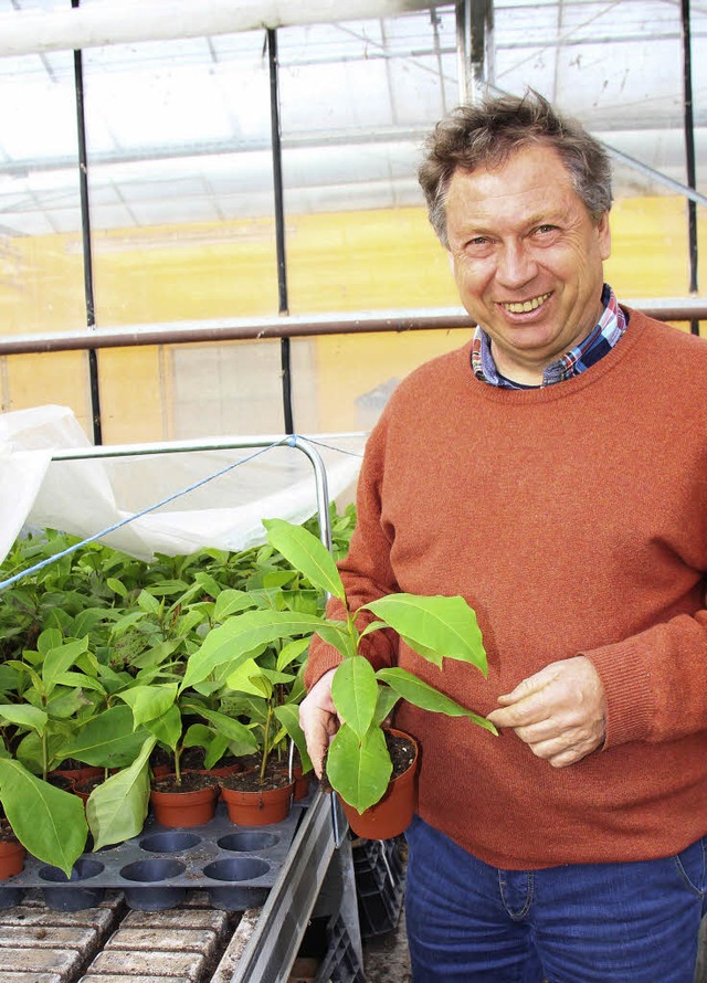 Klaus Friderich mit Pflanzen des  Mandelbaums   | Foto: go