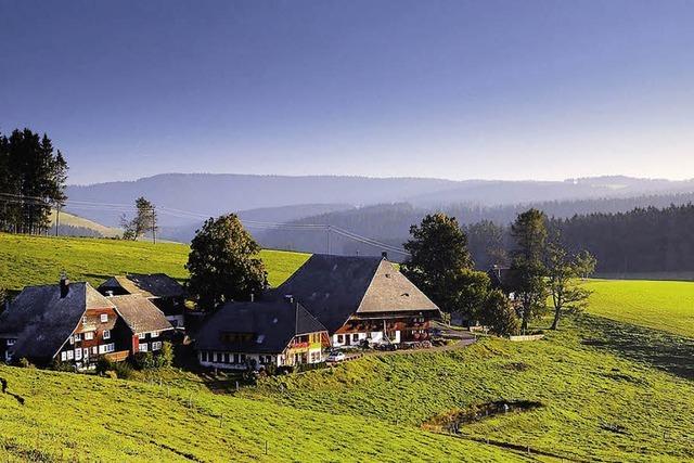 Liebeserklrung des Fotografen an den Schwarzwald