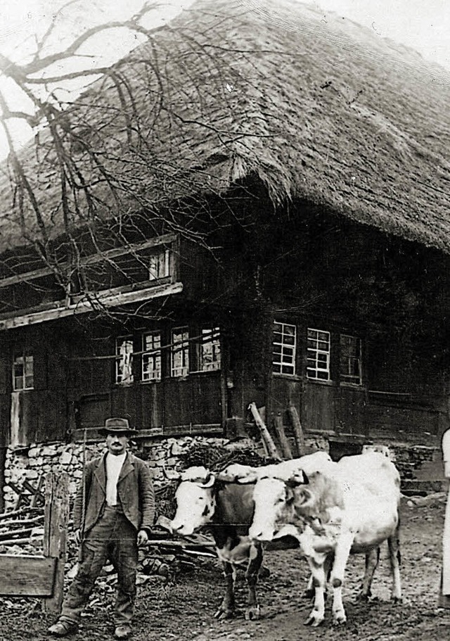 Um alte Bauernhfe in Simonswald dreht...le. Hier ein Foto vom Felsenhof, 1920.  | Foto: Archiv Wehrle