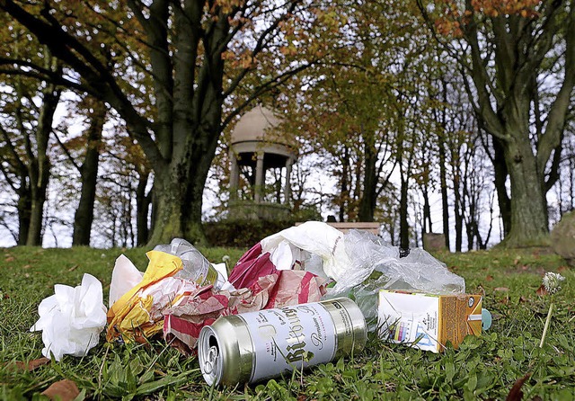 Sauerei: Je schner das Wetter, desto grer der Mllberg.  | Foto: Christoph Breithaupt