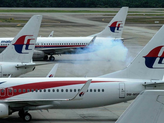 Eine Maschine der Malaysia Airline ist...t 239 Passagieren an Bord abgestrtzt.  | Foto: dpa