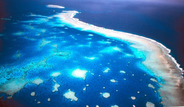 Mit etwa 300000 Quadratkilometern, ist es das grte Korallenriff der Welt.   | Foto: dpa