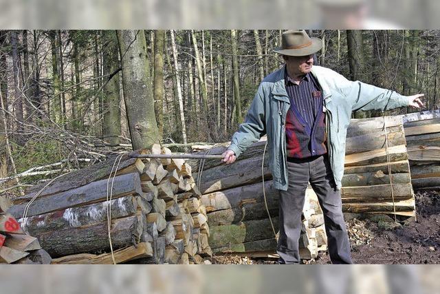 Im Stadtwald ist Holzauktion