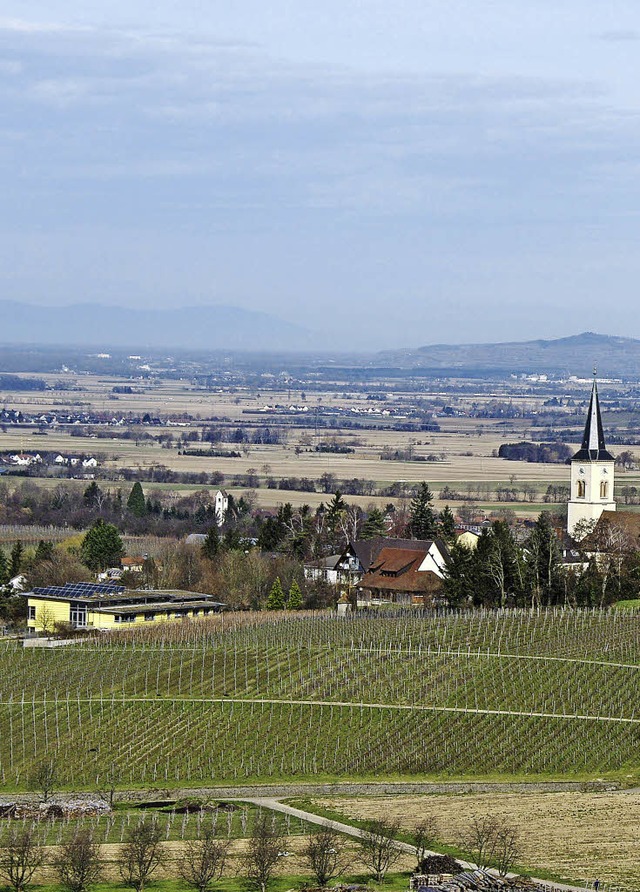 Oberhalb der Sonnenbergschule soll das...chsstock wartet die Gemeinde gespannt.  | Foto: martin pfefferle