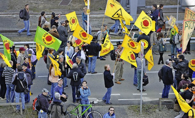 Am Sonntag demonstrierten  von Basel b... kritisierten dabei ihren Staatschef.   | Foto: Rainer Ruther