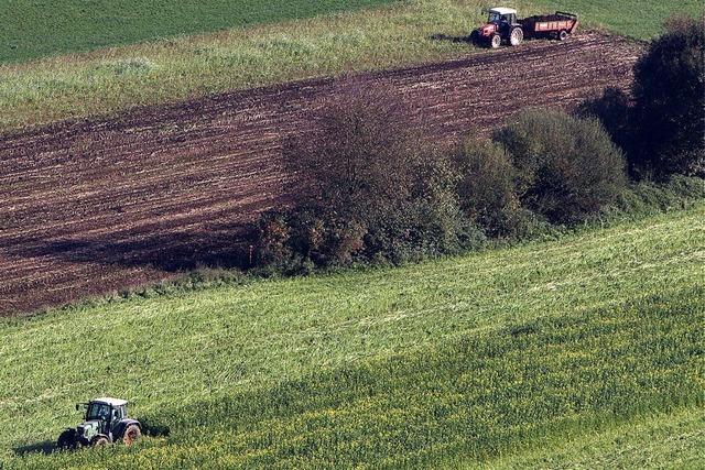 Reform hilft vor allem Kleinbauern