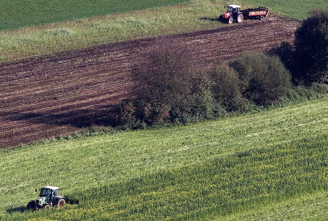 Ob  Grnland oder Ackerflche: Zuminde...e landwirtschaftliche Nutzung breiter.  | Foto: Patrik Mller/Gerda Oswald