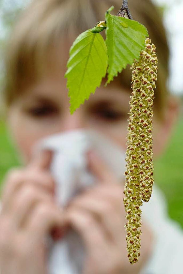 Die Birkenpollen sind im Anflug.  | Foto: dpa