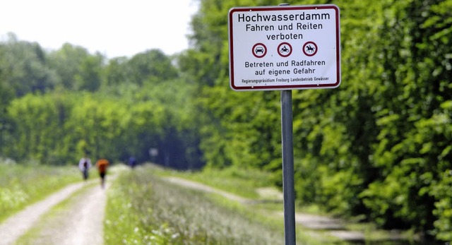 Nach einem heftigen Gewitterregen im E...Rckweg in den Ort abgeschnitten sein.  | Foto: Archivfoto: Gollrad