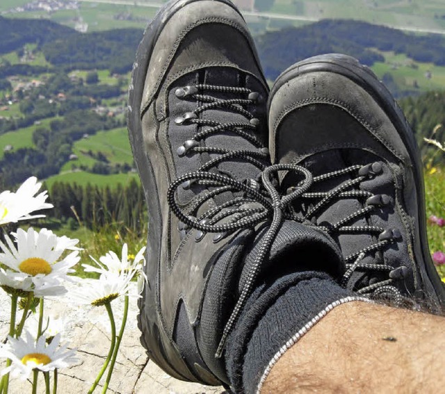 Der Schwarzwaldverein St. Peter konnte von schnen Wanderungen berichten.   | Foto: M. Donner