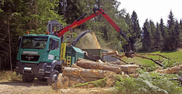 Holzmarkt in Bewegung: Gut ist nach wi...ie Nachfrage nach Spaner- und Sgeholz  | Foto: Silke Hartenstein