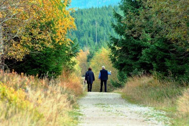 Nationalpark Nordschwarzwald: Wanderer bangen um ihr Wegenetz