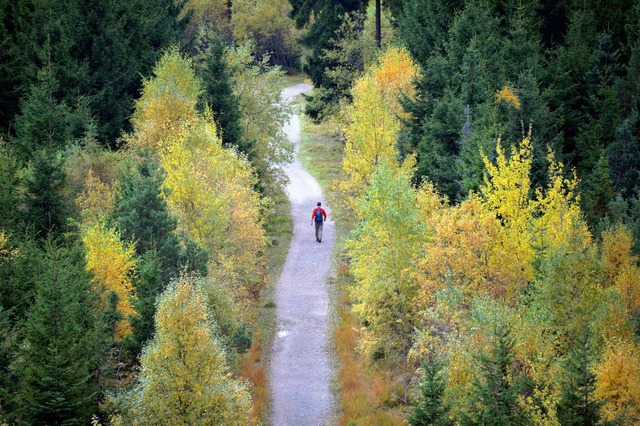 Der Schwarzwald, wie Wanderer ihn lieben.  | Foto: dpa