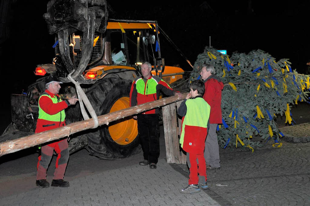 Bauhofmitarbeiter stellen den Brgermeisterbaum  vor der Schnberghalle auf.