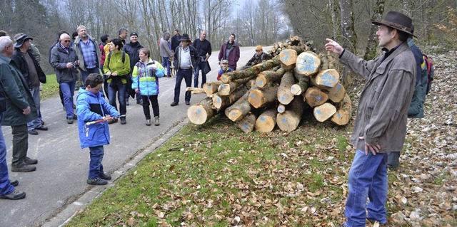Gut Holz: Brennholz zu fairen Preisen ...lburger Holzversteigerung  im Angebot.  | Foto: Paul Berger